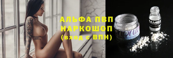 дживик Оленегорск