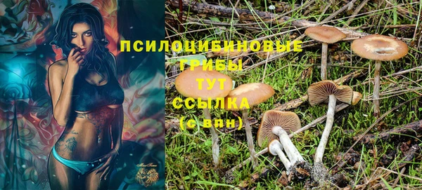 винт Лиски