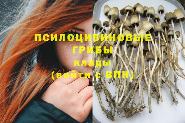твердый Олёкминск