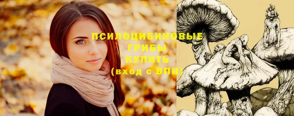 винт Лиски