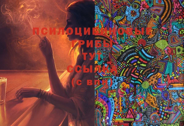 ешки Липки