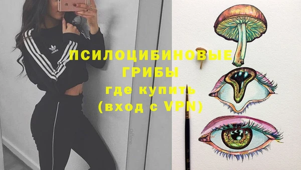 ешки Липки