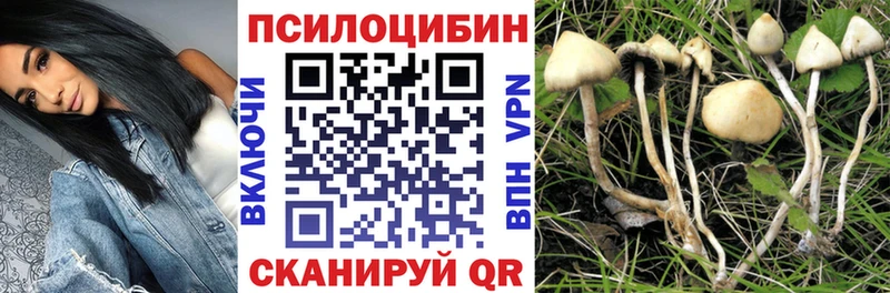 Псилоцибиновые грибы GOLDEN TEACHER  Юхнов 